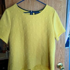 embroidered polka dot business casual shirt